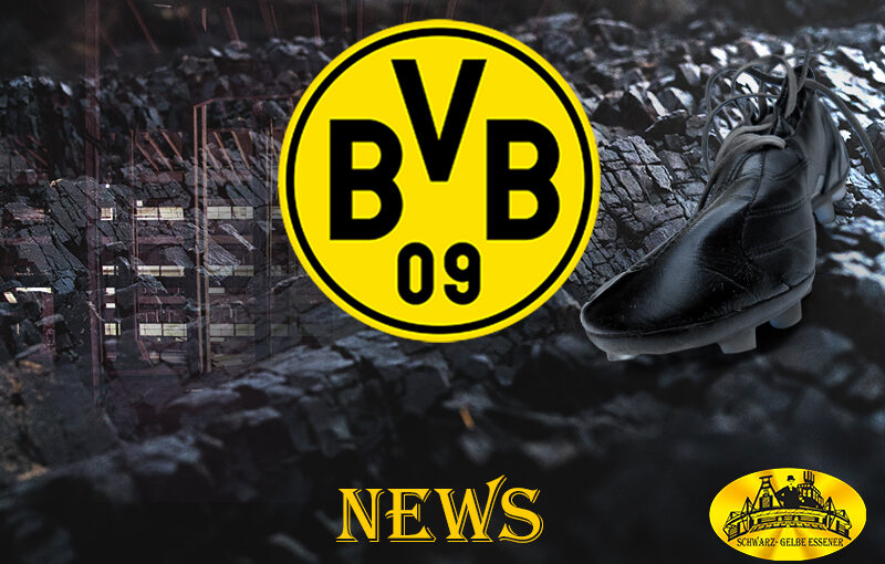 BVB News