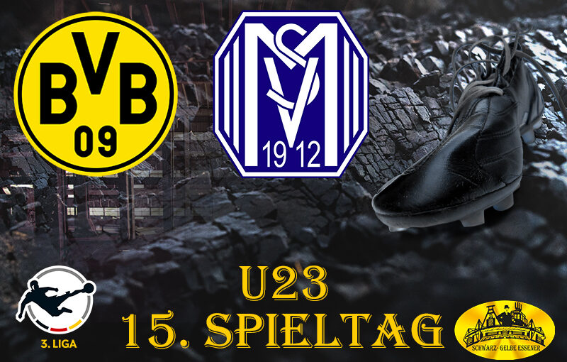 U23 - 15. Spieltag: BVB - SV Meppen 1912