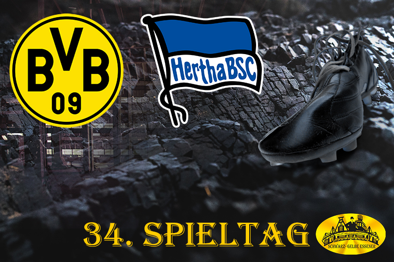 34. Spieltag: BVB - Hertha BSC