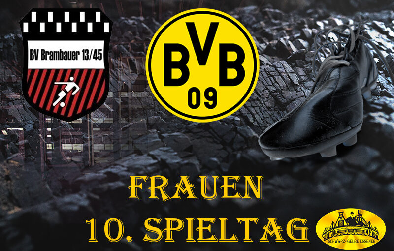 10. Spieltag - Frauen: BV Brambauer 13/65 - BVB-Frauen