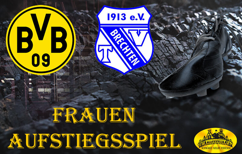 Aufstiegsspiel - Frauen: BVB-Frauen - TV Brechten II