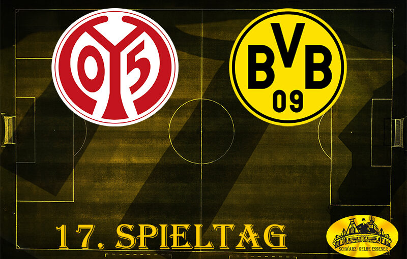 17. Spieltag: FSV Mainz 05 - BVB