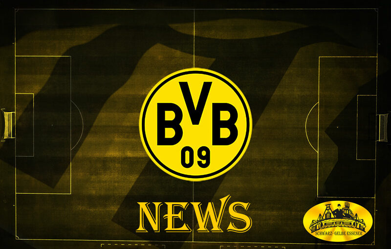 BVB News 2022/2023