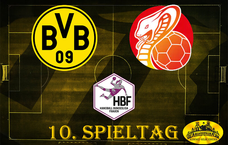 Handball Bundesliga Frauen - 10. Spieltag: BVB - HSG Bad Wildungen Vipers