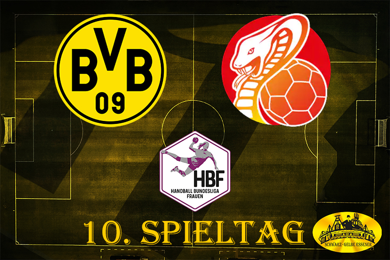 Handball Bundesliga Frauen - 10. Spieltag: BVB - HSG Bad Wildungen Vipers