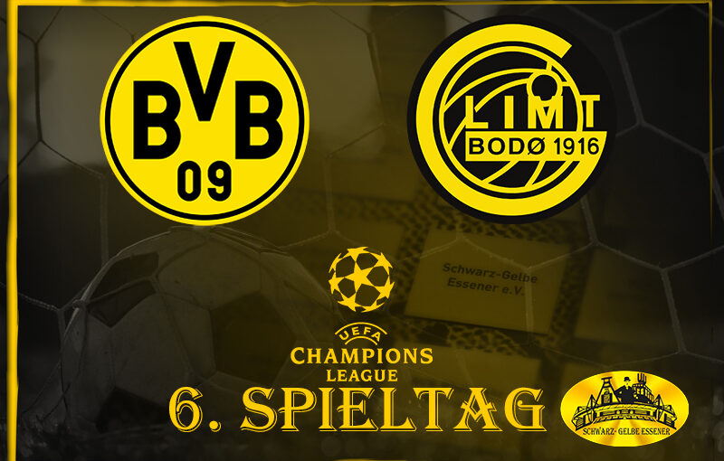 Champions League, 6. Spieltag: BVB - FK Bodø Glimt