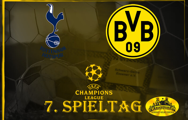 Champions League, 7. Spieltag: Tottenham Hotspur - BVB