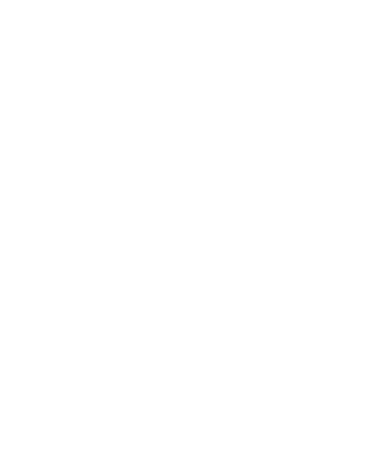 FSE - Footbal Supportes Europe